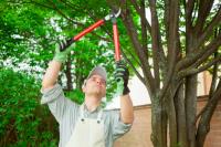 Newman Tree Services image 1